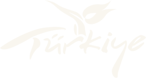 Go Türkiye